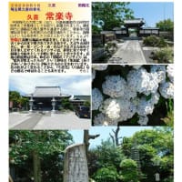 紫陽花－190　久喜　常楽寺