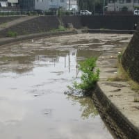 昨日夜、短時間に102㎜の集中豪雨が（埼玉・所沢）