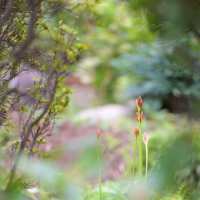 ネネココ地蔵 梅野浩壱 木彫り ネネココ地蔵 梅野浩壱 木彫り