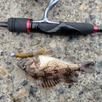 惨敗続きの釣行