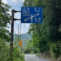 遅めのスタートで