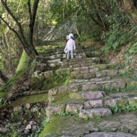 80回ふうちゃんのお城ブログ　元気な桃と出会うたび