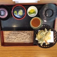 昼食＆ミランダ・カーのお味噌編 マルコメアンバサダー