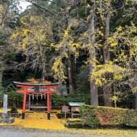 三尾三山の紅葉狩りを振り返る⑤岩戸落葉神社と「いのししラーメン」