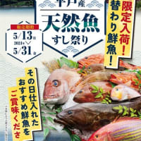 回転情報～回転江戸前すしとれとれ屋さん、長崎県平戸産 天然魚すし祭り