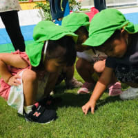 園庭遊び