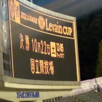 サンフレッチェ広島試合観戦　ルバン杯　アビスパ福岡戦