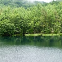 新緑の御射鹿池 ＆おしどり隠しの滝2021