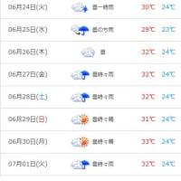 シジュウカラの２番子　　②