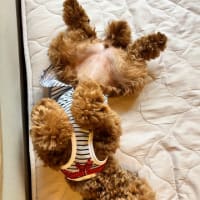 6度って尋常じゃないよ😰