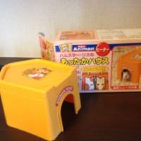 旅立ちから3ヶ月半