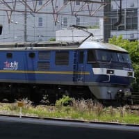 2024年5月21日(火)　貨物列車+α　撮影報告