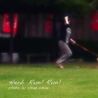 Herb Run! Run!