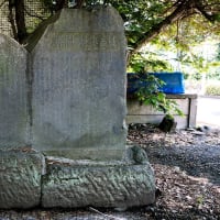 6月29日(日) 12日例会「一橋学園駅-小金井公園-境浄水場脇-三鷹駅」の下見-3-1