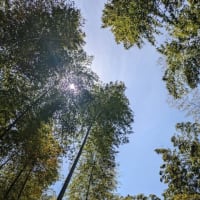 高齢になって我慢、もういいだろうという話し
