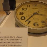 のんびり石巻の旅
