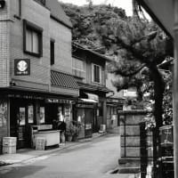 彷徨-和歌山県和歌山市：加太