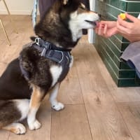 働いてやってる？働かせていただいている？