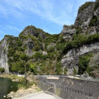 耶馬渓_ネモフィラと競秀峰の絶景😲