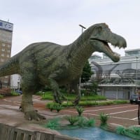 福井県庁屋上から眺望「地区老連、社会参加部会」企画・参加。