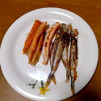 今晩の酒の肴