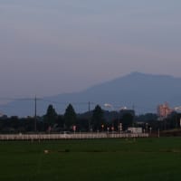 250701　朝間詰めに大山詣で　04　Fujifilm-Digtal Camera X100T