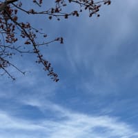 青空
