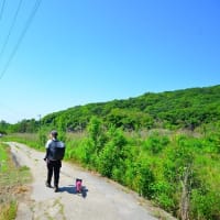 犬と宝篋山に行ってきました(2023.5）その２♪