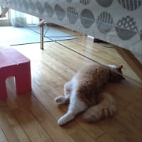 母の日悲し。