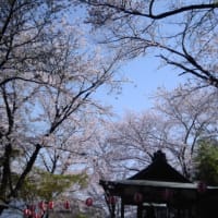 桜御前神社