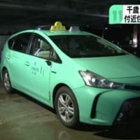 北海道で熊がタクシーに打つかる