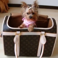 ブランド ルイヴィトン ジューシークチュールjuicy シャネルペット犬猫用 キャリーバッグコピー ブランド犬 ペット服 キャリーバッグ 首輪 ハーネス リード ベッド 犬 ペット用品