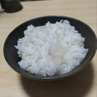 フラッグシップモデル