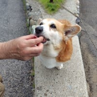 はぁ・・・