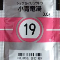 年甲斐もなくはしゃいで風邪ひいた。