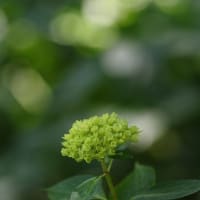 いよいよですか