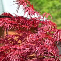 強風が吹く 東白川 神土地区へ