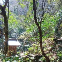 山の神社【真鶴】
