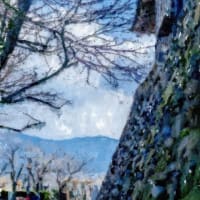 丸岡城の石垣と北陸の山🗻