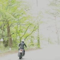 偶然と奇跡