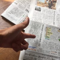 夕刊ハードパンチ『週間MVP記事発表！』(2024年5月27日～6月2日付）