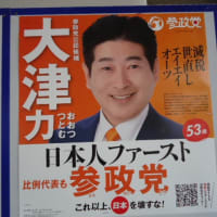 参議院選挙、令和７年、埼玉県、泡沫候補