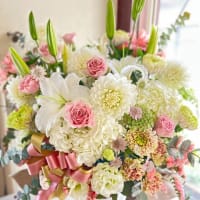 英会話教室のオープン御祝に