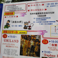 松本まるごと博物館　神道祭
