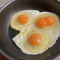 今日の一枚っぽい写真　双子の卵