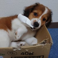 体重測定結果