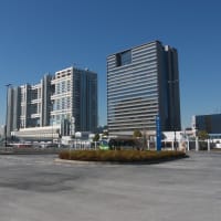 １月のお台場：シンボルプロムナード散策道を歩いて東京テレポート駅前へ　ＰＡＲＴ２