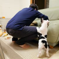 仏壇ガジガジおしっこチ～ッ！