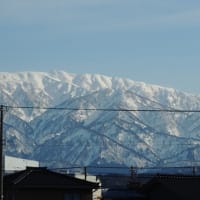 エマージェンシーコール 〜緊急通報指令室〜