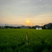 7月6日日曜日　